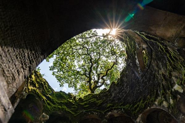 Hoe een last-minute trip inspiratie werd voor jouw muur | 